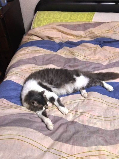 IMG_20200714_220107_HDR