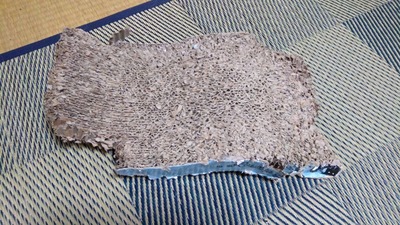 IMG_20201003_181000