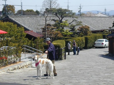 k07-00-0041