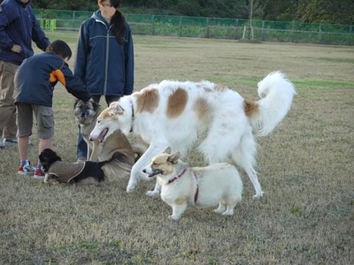 FB_IMG_1579603707946