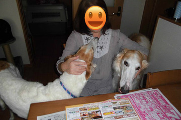 BlogPaint