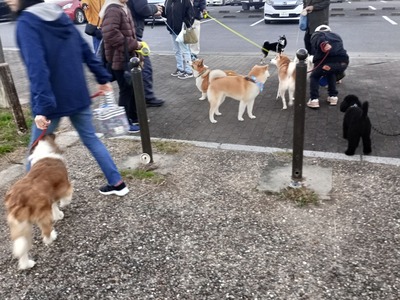 IMG_20251129_164453_HDR