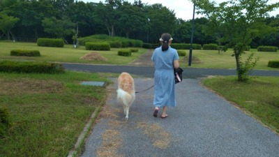 IMG_20200724_074609