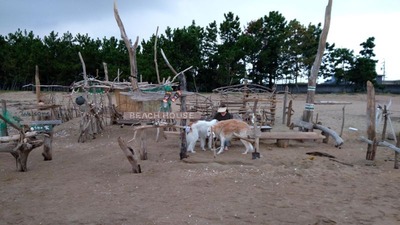 IMG_20201004_163055