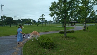 IMG_20200724_074508