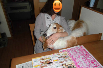 BlogPaint
