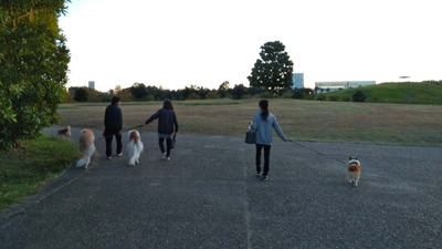 IMG_20201015_165903