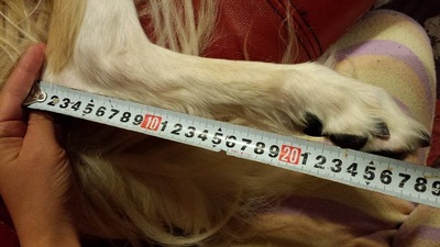 7_n