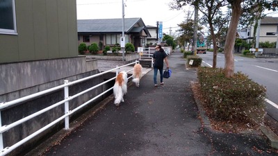 IMG_20201005_073500
