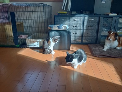 IMG_20251129_100343_HDR