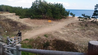 P_20200208_150633