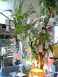 6738a8db.jpg