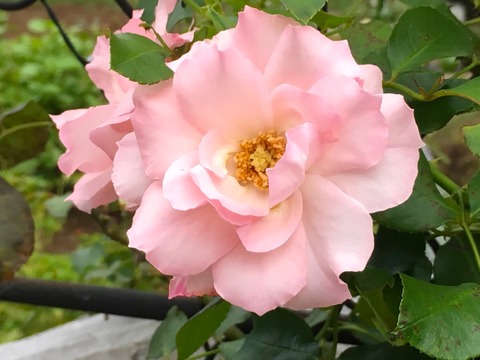 58f756e9.jpg