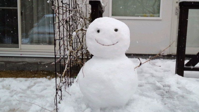 a55f273c.jpg
