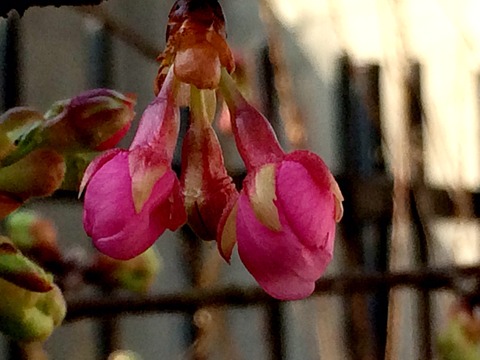 c9b8a069.jpg