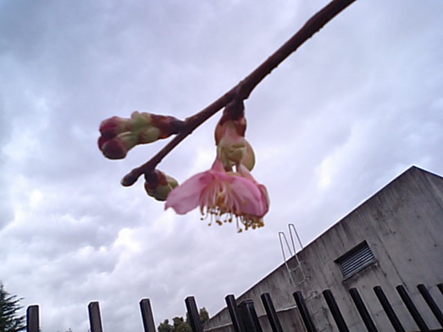 eb862305.jpg