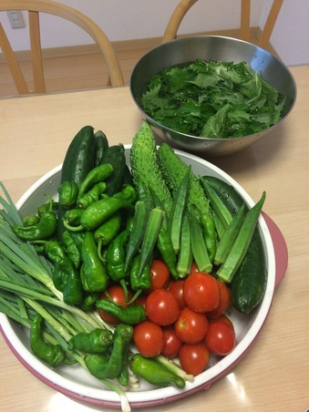 B4D7DC36-0040-48B2-8389-81B5A8913248