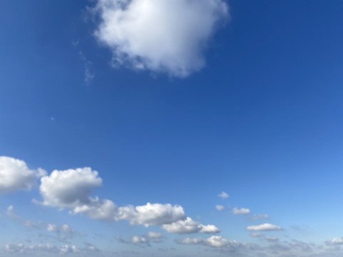 237879CD-75DA-444D-AC52-B05EF5C5A92E