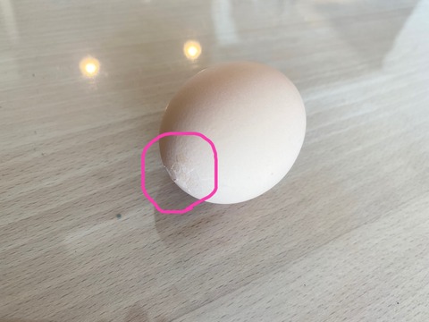 A06FC1A9-D290-413C-9CC8-790CE8899796