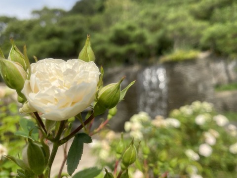 46BFF201-715D-48C6-B8CA-D727BFAA659D