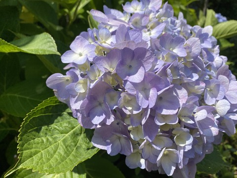 280B211A-4BD1-4351-951F-80E13865DE10