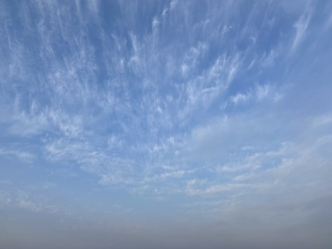 063CADDC-4BB4-4453-AF13-3BBC71DAA679