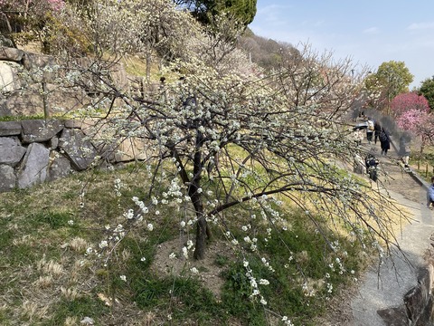 DCC955A8-F90D-424B-8580-F56BE805230B