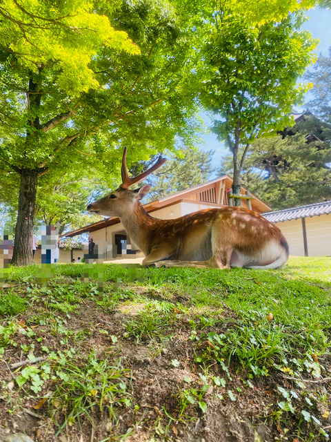 105922E6-081F-4373-895E-5E690E6283A8