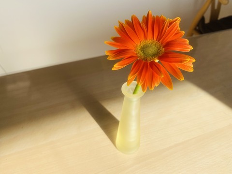 85DD82C9-5E0C-4690-B8BB-6781BF1A62A3