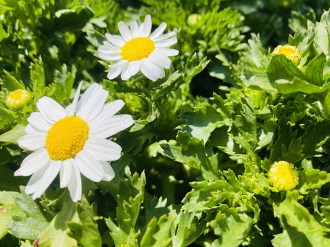 DD2C480F-04CE-4EBF-B1EE-C72C7391E67C