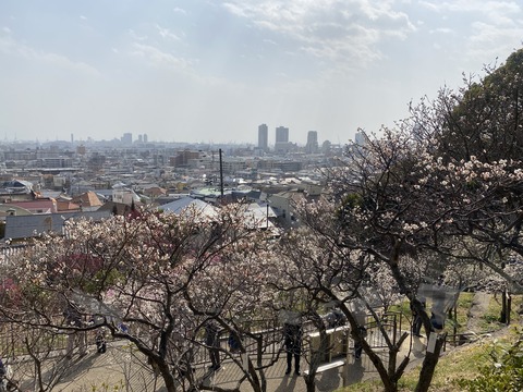 14BA79B3-54F5-4007-B1A8-B5FFACE2DF1C