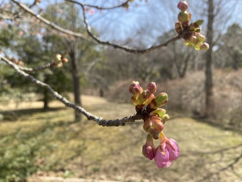 56D70051-F800-4434-89C1-7A22F966B41A