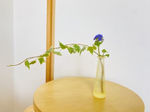 B1573505-5AE0-4647-9CFE-DD25BE3465E0