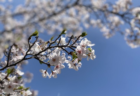 3A7269ED-C7C7-4ACA-9C30-7EE2602EC29F