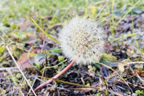 E0552134-D14A-4201-A972-E391CCF4F43A