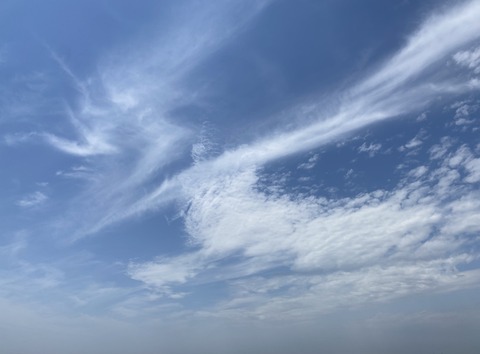 1CF94C83-BBEE-4F20-B251-F79E5290AC38