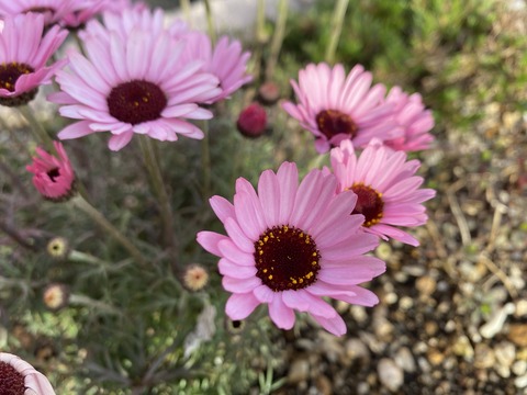 42DB8C03-12FF-4F3F-8DBD-5CE4612F178F