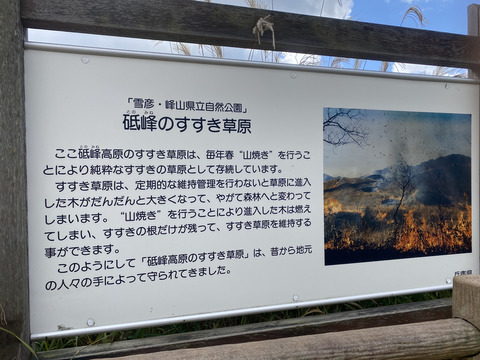 449F0381-F011-4E87-9722-71DE2A8CDF49