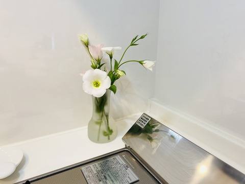 E66982F9-E046-407D-A636-37EABE274953