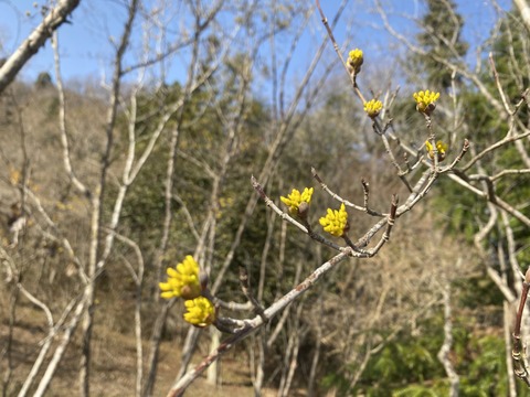 39E2A9B4-2D78-4E14-8CC8-708674DE523E