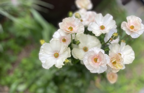 7C292DA7-156D-4C7C-8E8C-69520D97F006