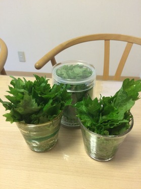 6286B241-E294-4CC2-84ED-6E26D1067669