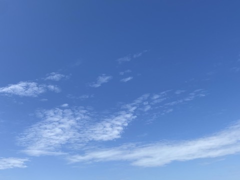 A4A00C92-DBB0-49FD-87AC-D725FB0E4B53