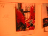 写真展_青赤フラッグ