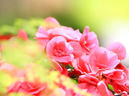 yjimage17