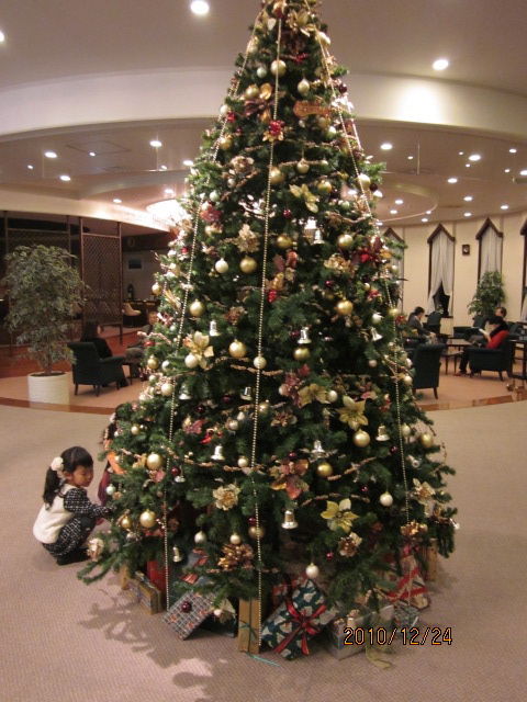 クリスマスディナー ライブ ワンコと過ごすカームな軽井沢だより クリスマスディナー ライブ ワンコと過ごすカームな軽井沢だより