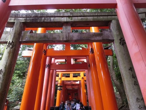 伏見稲荷4