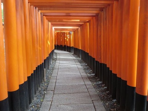 伏見稲荷5