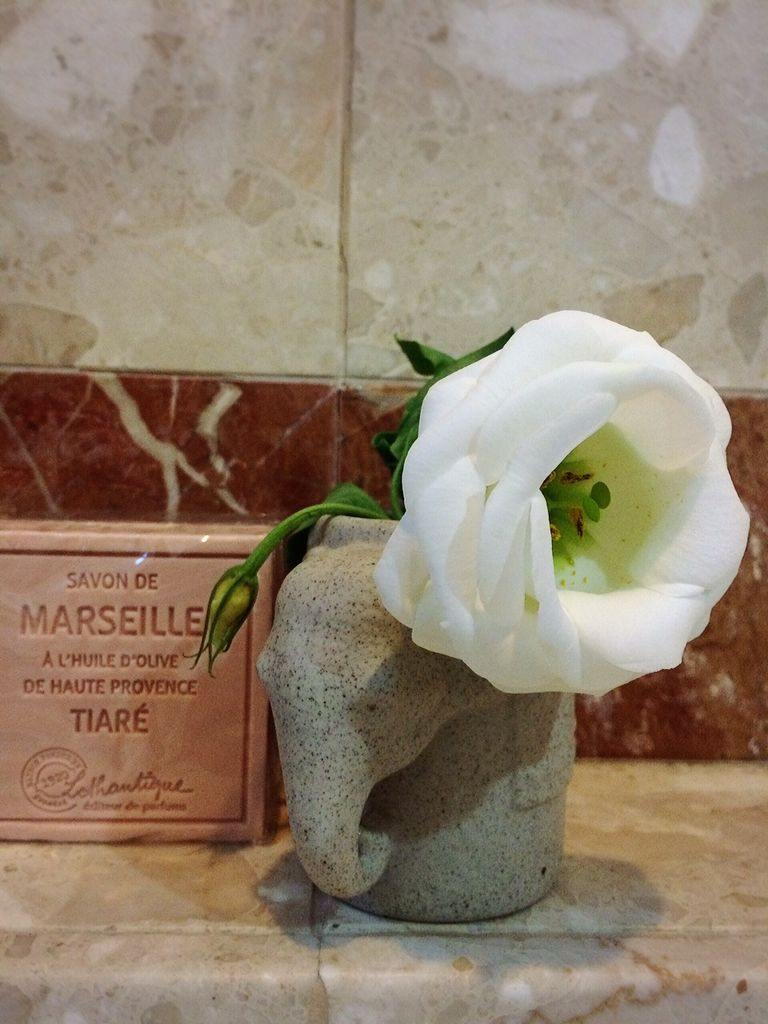 切り花の寿命はどれくらい シンガポール生活と旅