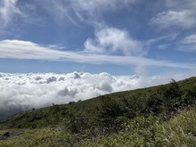 IMG_9003